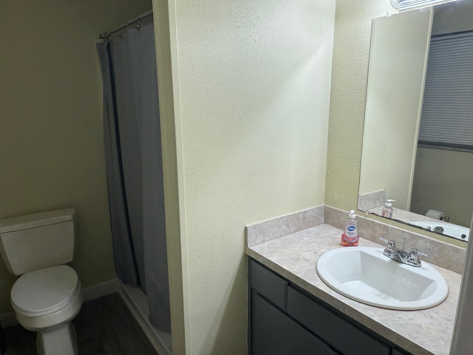Bathroom with vanity, sink, mirror, and shower at ADOL FOSTER HOME in Tampa.