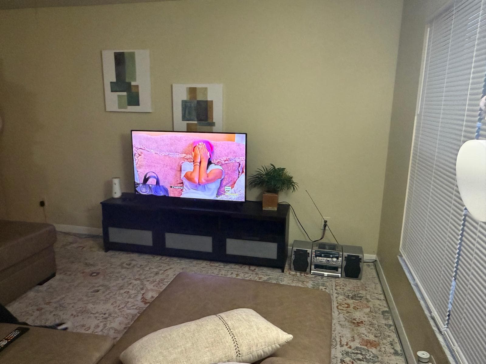 Living room with TV stand, framed artwork, and a couch at ADOL FOSTER HOME in Tampa.